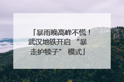 暴雨晚高峰不慌！武汉地铁开启 “暴走护犊子” 模式